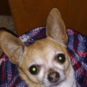 Meet your Posher, Lysle